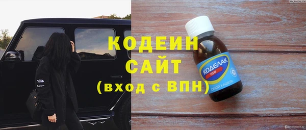 хмурый Кодинск