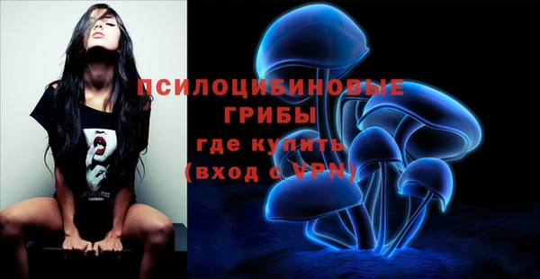 хмурый Кодинск