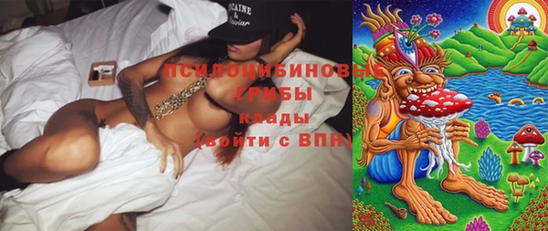 дживик Кинешма