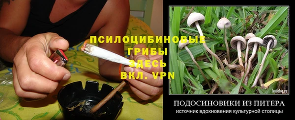 дживик Кинешма