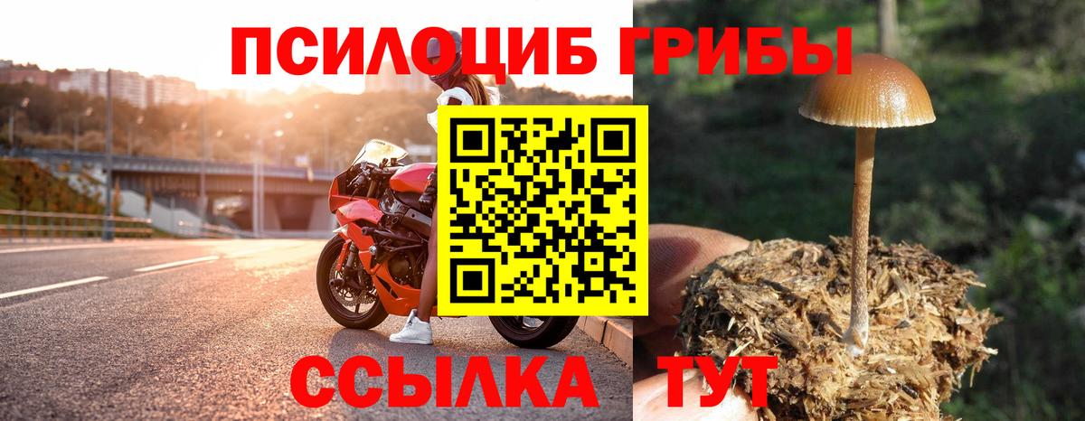 где купить наркоту  Нижневартовск  Псилоцибиновые грибы Cubensis  Галлюциногенные грибы Cubensis 